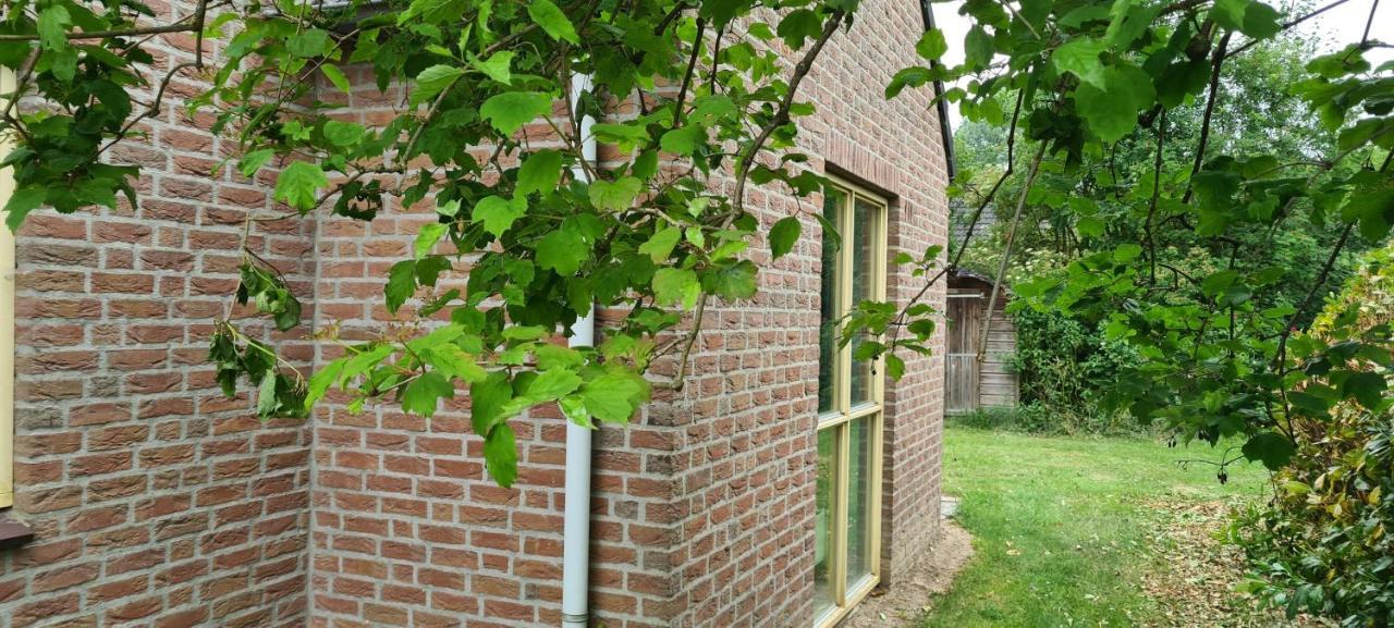 Forestview 'Queenstown' 6 Pers Very Child-Friendly By Kawatea Cottages (Adults Only) Ewijk 외부 사진