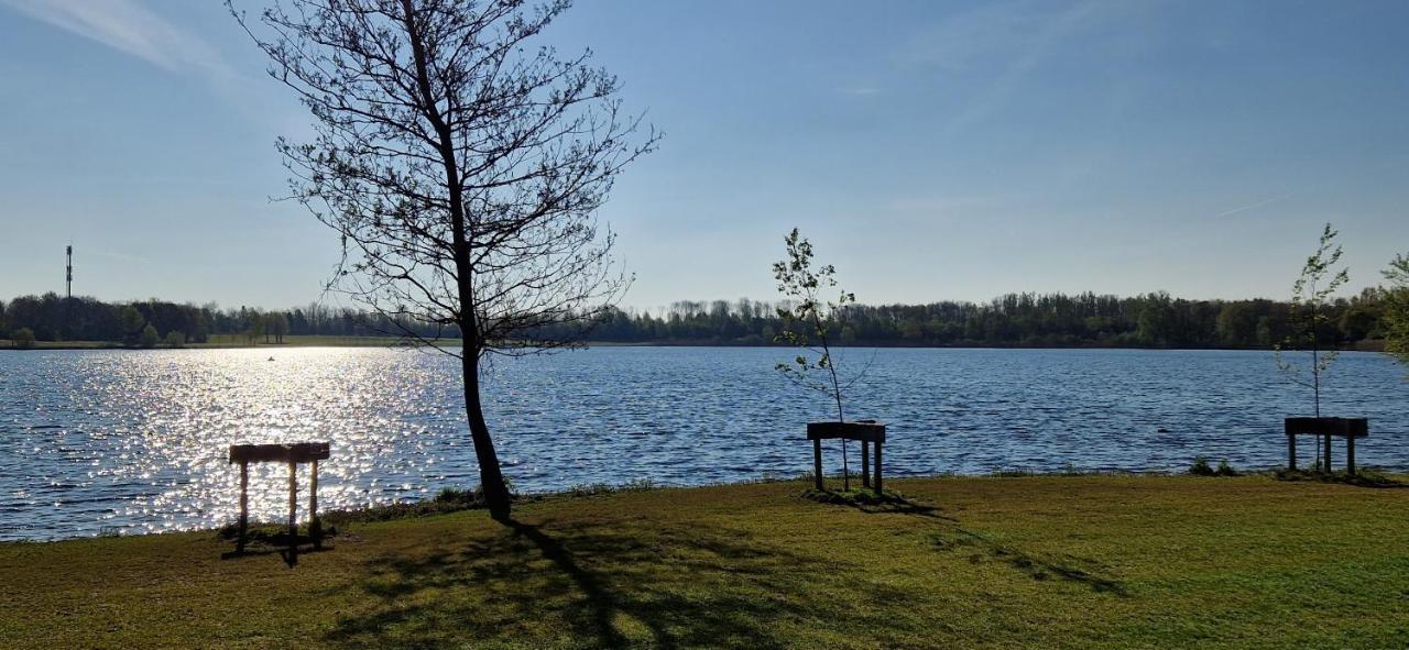 Forestview 'Queenstown' 6 Pers Very Child-Friendly By Kawatea Cottages (Adults Only) Ewijk 외부 사진